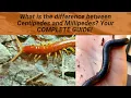 What is the difference between Centipedes and Millipedes Here are 7 ways they are different