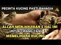 Download Lagu Inilah 5 Janji Allah Bagi Yang Suka Memelihara Kucing | No.4 Berguna Dunia dan Akhirat