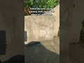Love carving the Sun