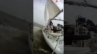 Galveston Bay Peanut Regatta #13