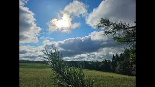 RAINBOW Souls Trust in Life - Dragon Light Codes for Wisdom Deep Spiritual Activation