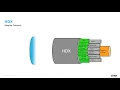 Tech Insight - X Display and Adaptive Technologies