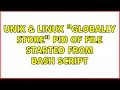 Unix Linux Globally Store PID of file started from bash script 2 Solutions