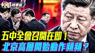 北京政局再起波瀾？五中全會前政治局突然開會：胡春華遲遲未露面究竟發生了什麼事？胡春華傳聞滿天飛！政變說法能經得起推敲嗎？五中全會前還有政治哪些變數？【每日直播精華｜天亮論政】10232026