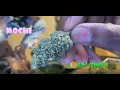 Weed Smoking Session - Mochi