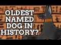 History s Oldest Dog Name