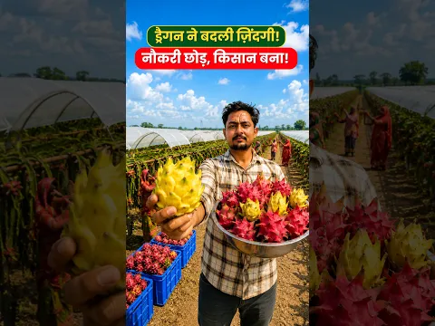 Job से Dragon Fruit Farming तक का सफर! ❤️