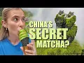 Download Lagu This small Chinese town is exporting matcha to JAPAN??