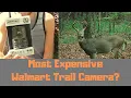 Most Expensive Walmart Trail Camera Moultrie W-40i