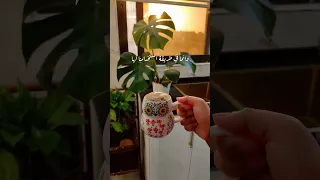 بعض الناس متحب الخير قال رسولنا الكريم حب الخير لااخيك كما تحب لنفسك اكسبلور ترند تصويري 