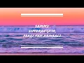 Download Lagu Sammy Simorangkir - Pergi Tak Kembali (lirik vidio)