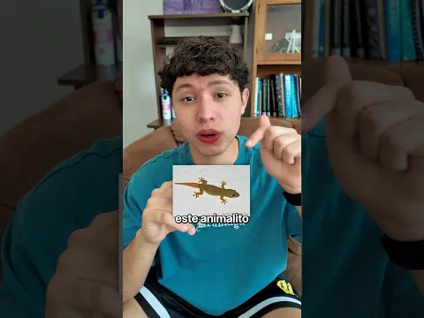 PICHETE o CHEREPE???