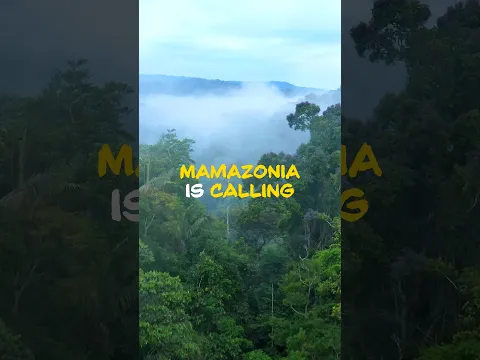 A global anthem for Mamazonia. One planet. Many voices. One song. 🌿