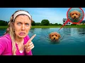 Download Lagu My Puppy Almost Died?!
