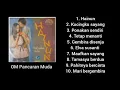 Lagu Full Album - Hainun - OM Pancaran Muda.