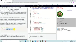 Tutorial 23 - using attribute selector to style elements