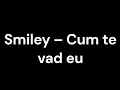 Download Lagu Smiley - Cum te văd eu (Versuri)