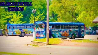 bus tiktok