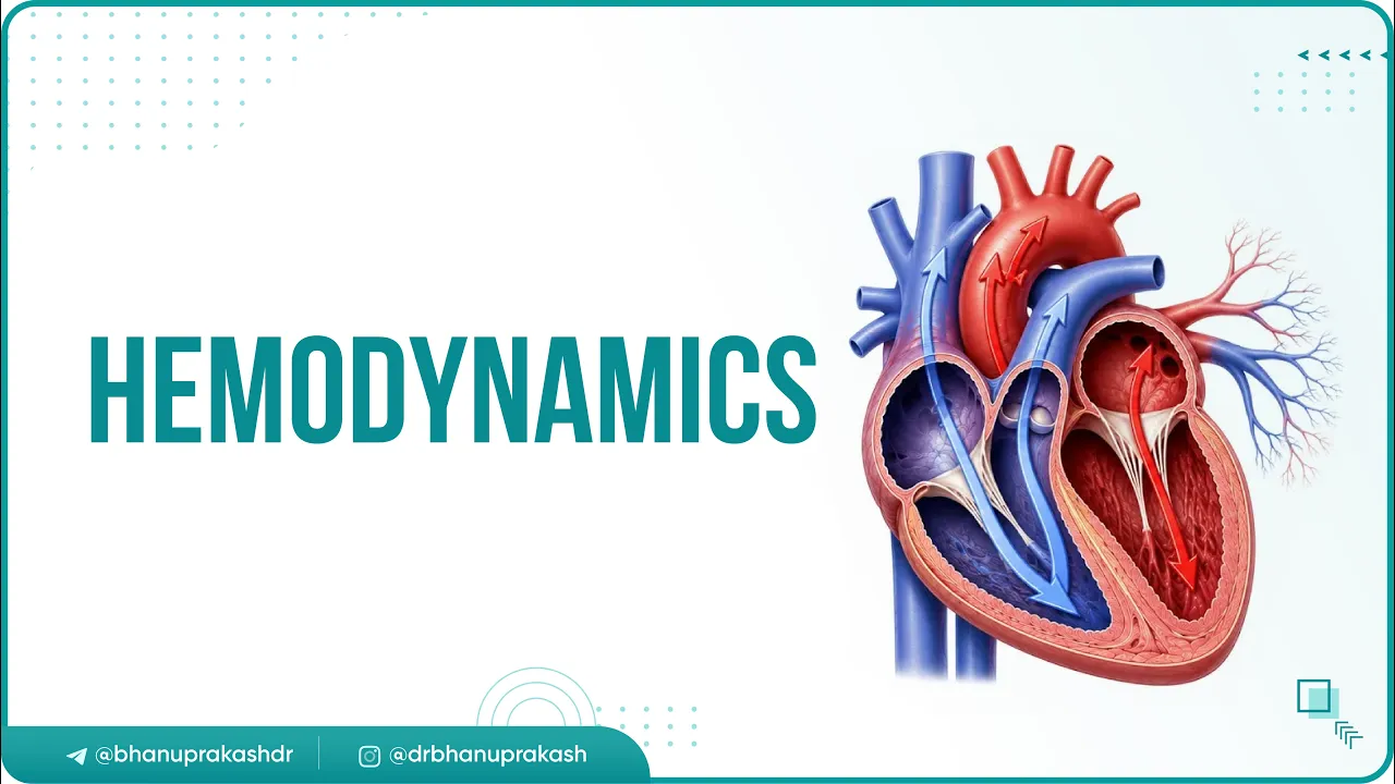 11. Hemodynamics | Cardiovascular Physiology | USMLE Step 1 ⚡📊
