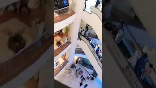 اسكندريه وجمال مول سان ستيفانو  اسكندريه وجمال مول سان ستيفانو