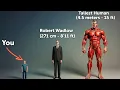 How Tall Can You Theoretically Grow