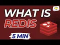Do you know how Redis Work 5 min