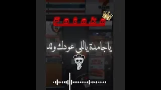 مهرجان ياجامده ياللي عودك وتد صدي صوت  دندنها