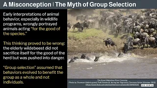 2 Human Behavioral Biology Evolution of Behavior 1 by Robert Sapolsky