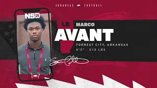 Razorback Football Marco Avant Highlights