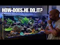Inside an Incredible 150 Gallon SPS Reef Tank BAR Tank Tours