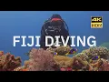 Download Lagu Scuba Diving in Fiji with Paradise Taveuni | Rainbow Reef in 4K HDR | May 2022
