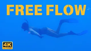 FREE FLOW | Mobile Version