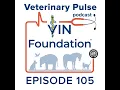 Lessons learned of applying to veterinary school with Amber McElhinney