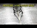 PROVERBS 14 NIV BIBLE with text