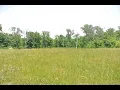 1143 Tyler Branch Perryville MO 63775