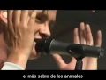 Lagu Keane - Perfect Symmetry (sub español)