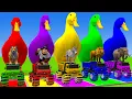 Download Lagu Long Slide Game With Cow Elephant Gorilla Hippopotamus Tiger 3d Animal Game Funny 3d Animals