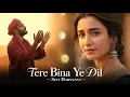 Download Lagu Tere Bina Ye Dil(تیرے بِنا یہ دِل) | Soulful Sad Romantic Sufi Haryanvi Song 2025 | Official Audio