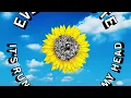 Portugal. The Man - What, Me Worry? (Official Lyric Video)