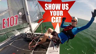 Show us your cat! Episode 107 USA and Switzerland