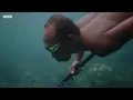 The tribe that evolved to stay underwater longer – BBC REEL