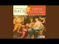 Quintett in G Major Op 11 No 2 W B71 II Allegro assai