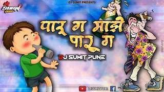  trending paaru ga majhi paaru ga viral song dj sumit pune