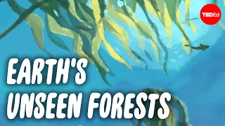 The magical forest realm hiding at the bottom of the ocean - Luka Seamus Wright and Salomé Buglass