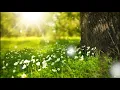 冥想 瑜珈 Spa音樂 放鬆 心靈 療愈 輕音樂 按摩音樂 深度睡眠 清除負能量 禪 Meditation Music 靈氣 水音 大自然  Relaxing Music 淨化 水聲 鳥鳴 瑜伽音樂