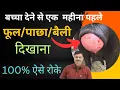 Download Lagu भैंस के फूल दिखाने का No.1 इलाज👌🏽 बेहतरिन दवा👉🏻भैंस के बेल निकलने की दवा prolapse treatment