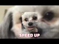 Download Lagu The Script - Hall Of Fame (Speed Up / Fast / Nightcore)