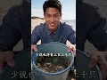 [Multi SUB] ｜他辛苦买船遭父亲偏心夺走，被迫分家住破海屋，意外解锁空间渔场，鱼虾满仓，带妻女逆袭！！#剧能充电站 #MiniDrama#精彩大陆短剧