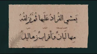 بانت سعاد فقلبي اليوم متبول بردة كعب بن زهير أسامة النهاري 