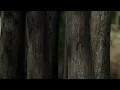 Photogrammetry Procedural Tree Bark